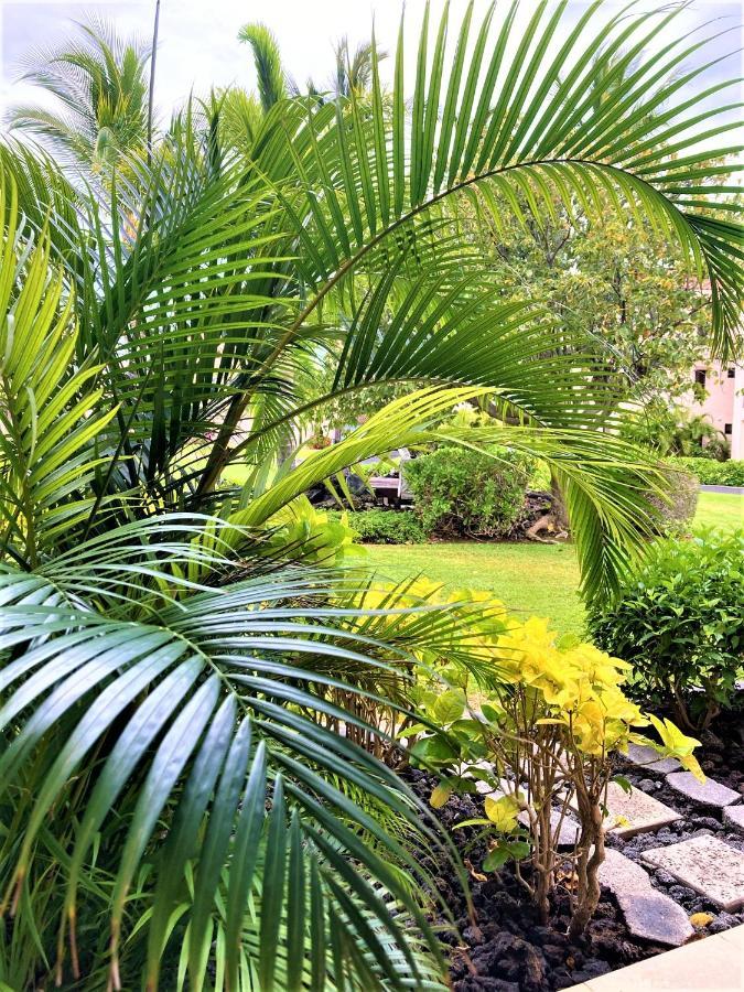 Coconut At Shores - Waikoloa Beach Resort Exterior photo